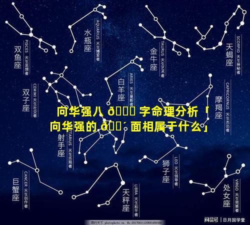 向华强八 🕊 字命理分析「向华强的 🌴 面相属于什么」